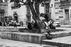 Zócalo Oaxaca