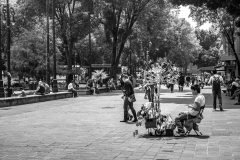 Coyoacán
